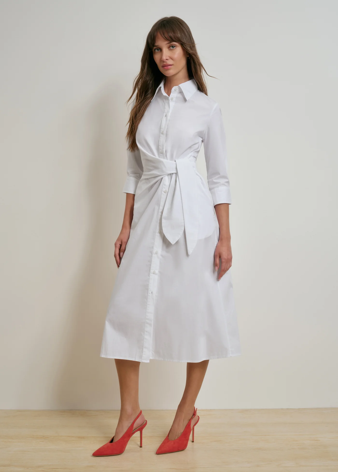 THE WELL MANNERED DRESS